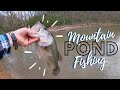 Fishing for Spawning Bass in *Secret* Mountain Pond