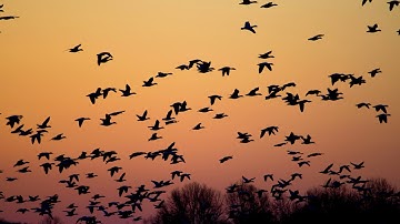 session management - Should concurrent logins be allowed?