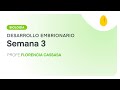 Semana 3 | Biología | Desarrollo Embrionario | V3 | Egg Educación