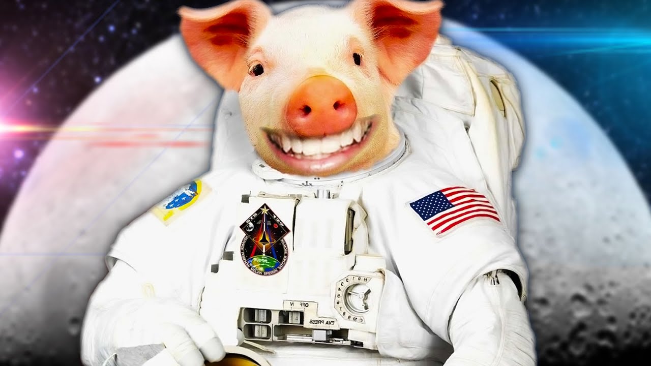 games people play THERE ARE NO WORDS | Zoo Race