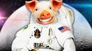 THERE ARE NO WORDS | Zoo Race screenshot 4