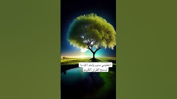 #القرآن_الكريم #آية_الكرسي #سورة_البقرة #explore #الاردن #الامارات #السعودية #الكويت #قطر #quran
