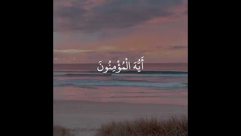 وَتُوبُوا إِلَى اللَّهِ جَمِيعًا أَيُّهَ الْمُؤْمِنُونَ لَعَلَّكُمْ تُفْلِحُونَ ((31)) سورة النور
