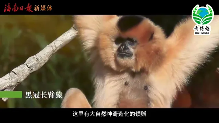 “印”象自貿港| 一起探尋白沙之美 - 天天要聞
