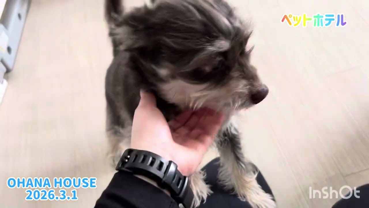 ペットホテル上新屋店