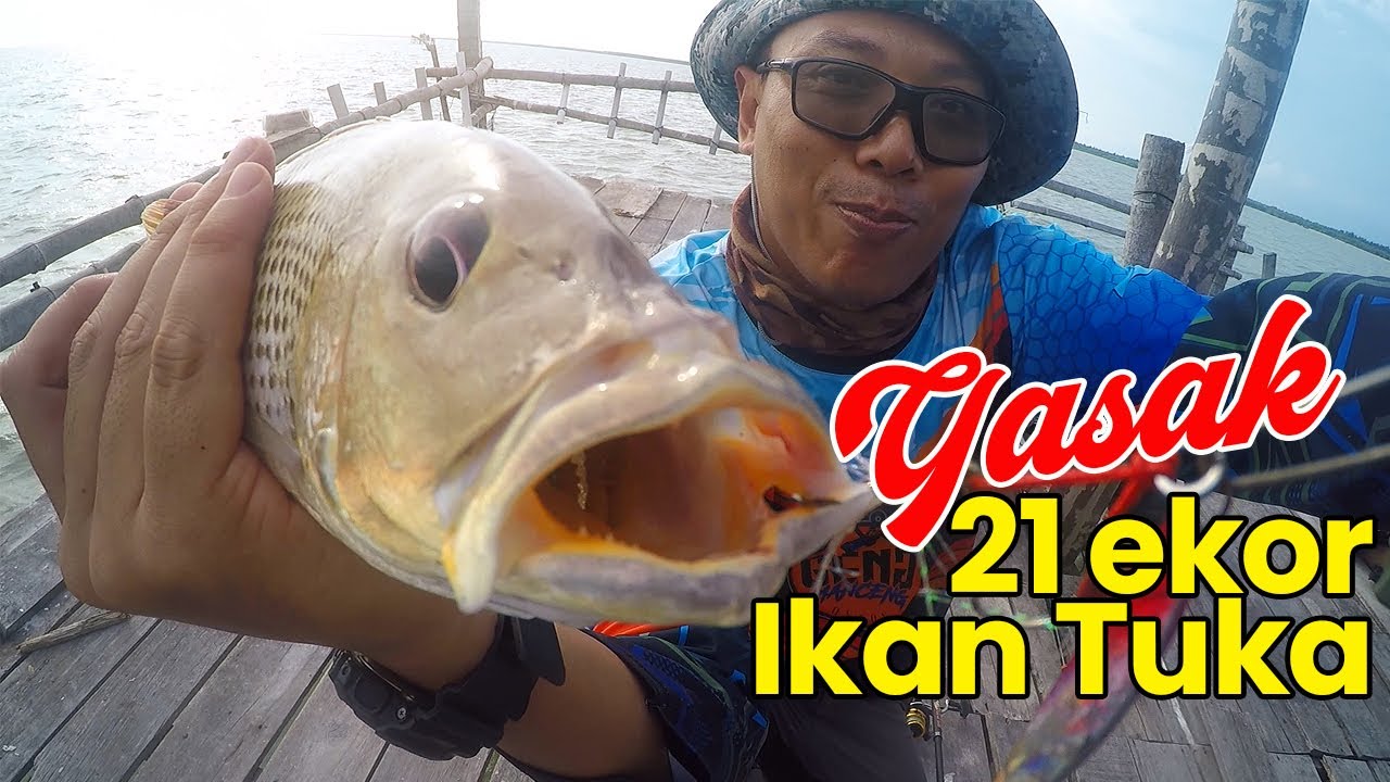 Kelong Kupang 2, Sabak Bernam