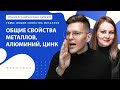 [28] Общие свойства металлов, алюминий, цинк | ЕГЭ за 30 дней