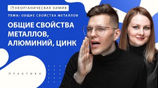 [28] Общие свойства металлов, алюминий, цинк | ЕГЭ за 30 дней