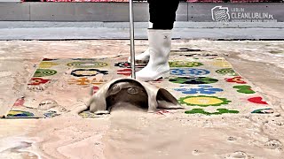 Unbelievable: mud flowing from this carpet in the wash by AUTOMATYCZNA PRALNIA DYWANÓW CLEANLUBLIN 14,039 views 12 days ago 42 minutes