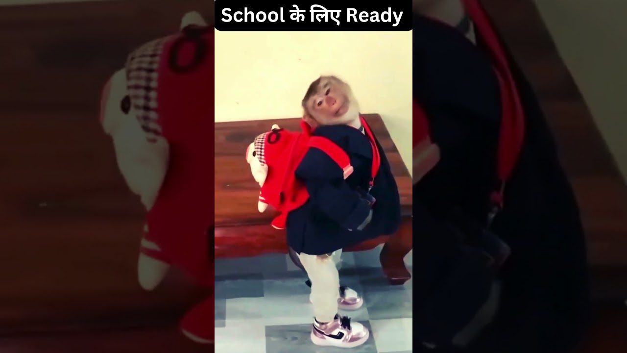 Funny Short- Dressed up Monkey- School के लिए Ready  