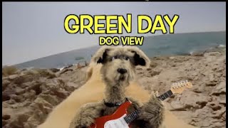 Green Day  Dog View longview