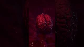 Baldurs Gate 3 - PET BRAIN #bg3 #shorts