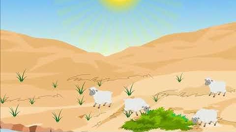 CHUSKIT GOES TO SCHOOL GRADE 5