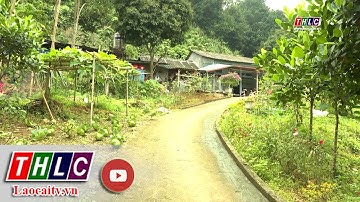 Cố Hải nâng cao các tiêu chí thôn kiểu mẫu | THLC