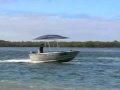 Kingfisher canopy speed test 1