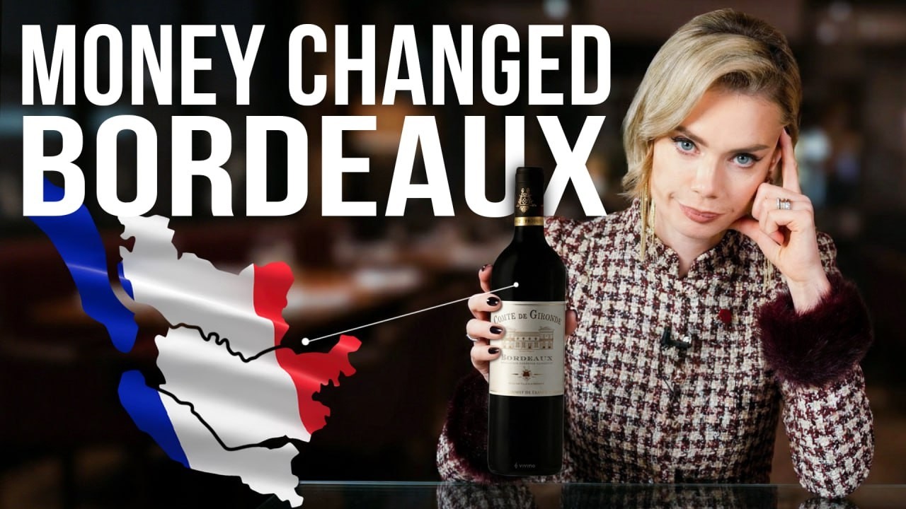 Бордоские вина для искушенных ценителей: как читать этикетки и не переплачивать