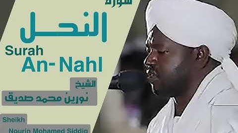 الشيخ نورين محمد صديق سورة النحل  Sheikh | Nourin Mohamed Siddig | Surah An-Nahl
