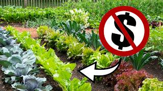 GARDEN from Scratch for FREE // ZERO COST Gardening by Next Level Gardening 89,698 views 2 months ago 13 minutes, 29 seconds