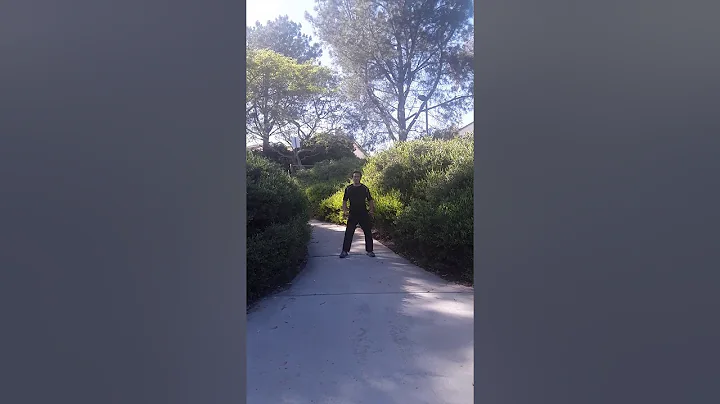 Chris Capistran: Salute, Yang style