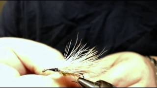 Mikulak Sedge