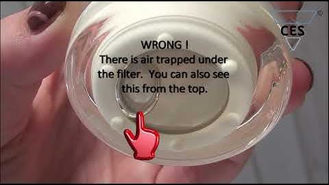 Model 700 C. elegans Synchronizer - NemaSync