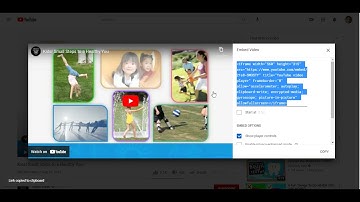 How do I embed a YouTube (or other) video into Canvas?