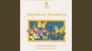 Video thumbnail of "Mandolin Orchestra - O Marie"