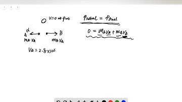 atomic nucleus at rest decays radioactively into an alpha particle and a different nucleus What will
