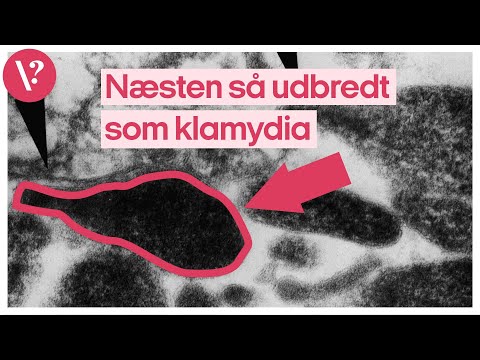 Video: Hvorfor teste for mycoplasma?