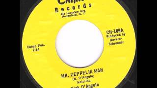 Nick D'Angelo - Mr Zeppelin Man