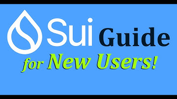 Ultimate Sui Beginners Guide | How to Get Started!