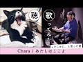 Chara - あたしはここよ(Covered by 入江陽)