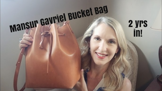 7. Mansur Gavriel Mini Bucket VS Regular Bucket Bag 