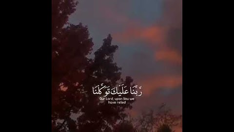 الشيخ رعد الكردي تلاوة رئعة