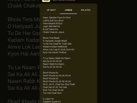 Patakha Guddi Song Lyrics 