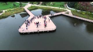 Wedding in Lincoln Park, Chicago