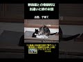 【野良猫との奇跡的な出逢いと絆のお話】野良猫トラとシロを保護して一年半 #Shorts