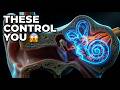 What Happens When Your Head Spins? | Vertigo Science Explained