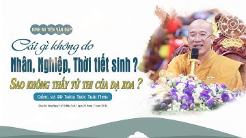 Cái Gì Không Do Nhân, Nghiệp, Thời Tiết Sinh? Sao Không Thấy Tử Thi Của Dạ Xoa? | Câu (157 - 159)