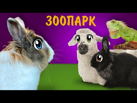 24 ЧАСА в ЗООПАРКЕ! КОРМИМ СМЕШНЫХ ЖИВОТНЫХ! НАСТОЯЩАЯ ЕДА против СУХОЙ ЧЕЛЛЕНДЖ? ЧТО ВЫБЕРУТ ЕНОТЫ