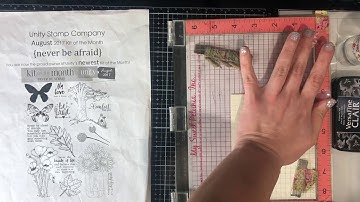 Unity Quick Tip: 2-Tone Watercolor Butterflies with Distress Inks