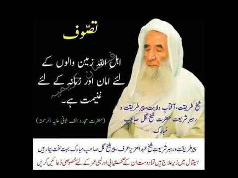 Habibia junaidya may dastar bandi ka video