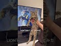保護して3週間🐾#shorts