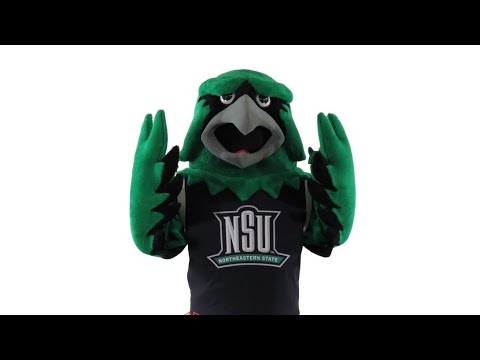 hawk mascot costume