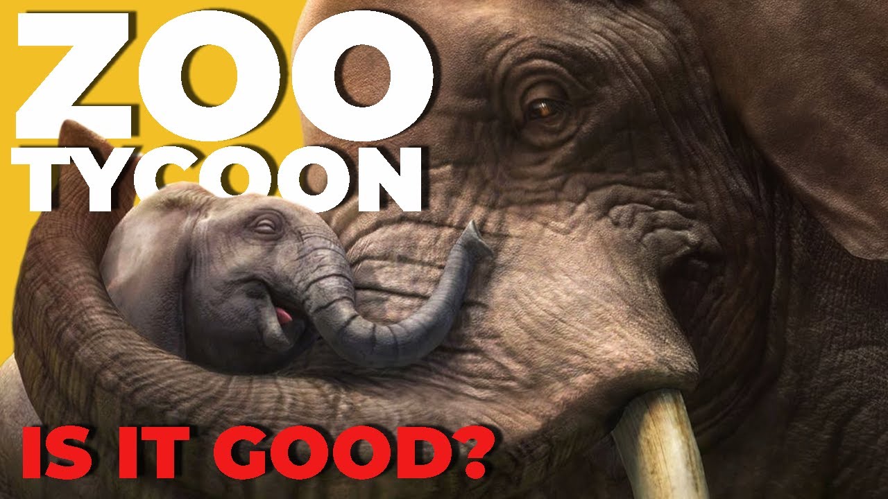 Zoo Tycoon: The Board Game by Marc Dür — Kickstarter