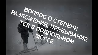 Вопрос о степени разложения. Манипуляции с телами и улики их пребывания в подпольном морге