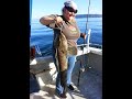 Lingcod Fishing in Puget Sound
