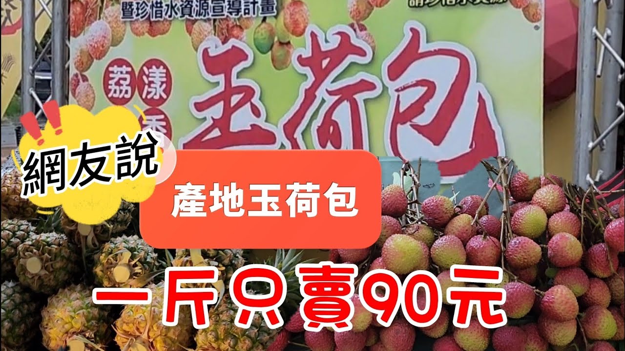 大雨擋不住！ 台南南鯤鯓代天府廟埕積水 信徒涉水進香－民視新聞