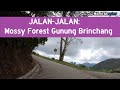 Jalanjalan kea farm ke mossy forest gunung brinchang