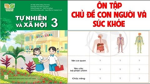 TỰ NHIÊN XÃ HỘI LỚP 3: ÔN TẬP CHỦ ĐỀ CON NGƯỜI VÀ SỨC KHỎE SÁCH CÁNH DIỀU( HAY NHẤT)